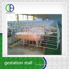 Hot Dip Galvanzie Pipe Pig Gestation Stall Good Quality For Pig Crate